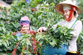 Công cụ để giữ thương hiệu, phát triển chuỗi giá trị sản phẩm