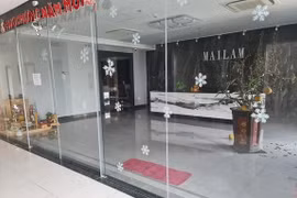 Nữ doanh nhân ngành gỗ bị tố chiếm đoạt hơn 250 tỷ đồng