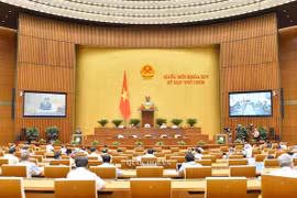 Quốc hội thảo luận về thí điểm tổ chức mô hình chính quyền đô thị tại Đà Nẵng