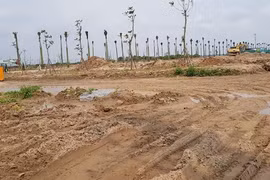 Hưng Yên: Xử phạt 400 triệu đồng 2 doanh nghiệp vi phạm pháp luật về đất đai