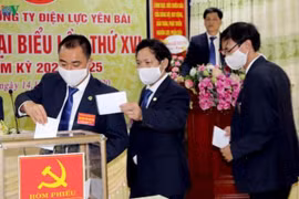 Hoãn Đại hội Đảng các cấp tập trung cho công tác phòng, chống dịch Covid-19