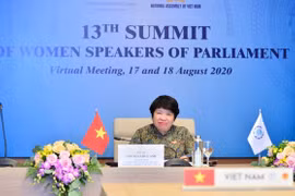 Tăng cường vai trò giám sát của Quốc hội để loại bỏ bạo lực đối với phụ nữ