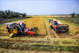 Triển khai giải pháp để tăng trưởng vùng ĐBSCL không thấp hơn trung bình cả nước