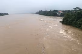 Phú Thọ: Báo động mực nước dâng cao trên sông Thao