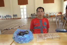 Lào Cai: Phá chuyên án "khủng", bắt giữ 1 đối tượng vận chuyển 3 bánh heroin và hơn 800g thuốc phiện