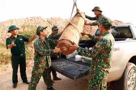 Quảng Ninh: Di dời quả bom 'khủng' nặng 450 kg ra khỏi khu vực nguy hiểm