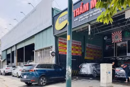 Nhiều doanh nghiệp 'kêu cứu' vì bị đơn phương chấm dứt hợp đồng