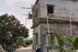 Thái Bình: Sập giàn giáo khi xây nhà, 3 người tử vong