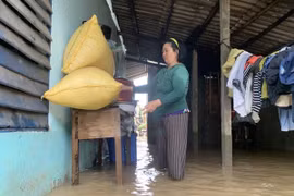 Quảng Ngãi: Mưa lũ làm 1 người chết, 1 người mất tích