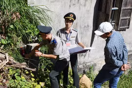 4 loại tài sản cơ quan thi hành án không được kê biên, cưỡng chế