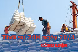 Thời sự 24H ngày 20/4: Thủ tướng yêu cầu thanh tra đột xuất việc xuất khẩu gạo