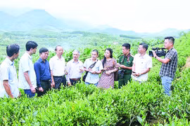 Tin yêu và trăn trở...