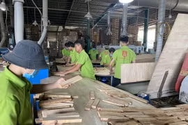 Bộ Tài chính yêu cầu xem xét lại việc phân loại gỗ cao su xuất khẩu