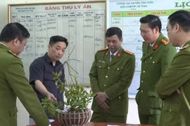 Phú Thọ: Bắt giữ ổ nhóm lừa bán lan đột biến hòng chiếm đoạt hơn 1 tỷ đồng