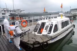 Ca nhiễm COVID-19 số 333 là thuyền viên tàu thủy Pacific Vũng Tàu