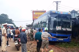 Xử lý trách nhiệm chủ xe để lái xe không đủ điều kiện điều khiển phương tiện vận tải
