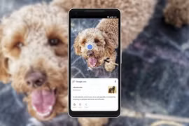 Bạn có thể tìm kiếm hình ảnh trên thiết bị Android thông qua ứng dụng Google Lens