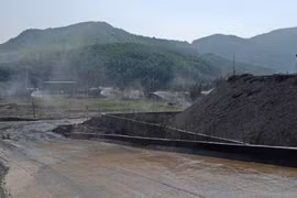 Công ty Tuyển than Hòn Gai nỗ lực thực hiện mục tiêu “chuyển từ nâu sang xanh”