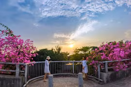 Cách chụp ảnh sống ảo với cây cầu 'Hoa giấy' Bắc Hưng Hải mà không vi phạm giao thông