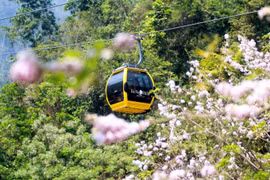 Những trải nghiệm nhất định không thể bỏ qua ở Sun World Ba Na Hills dịp này