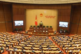 “Kỳ họp đặc biệt” và sứ mệnh nặng nề
