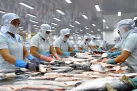 Xuất khẩu cá tra sang Anh tăng mạnh