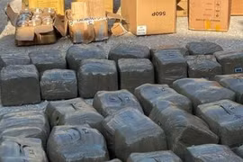 Thưởng nóng lực lượng tham gia phá án hơn 600 kg cần sa trong container