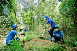 Nghiên cứu đề xuất áp dụng cơ chế chi trả chỉ số môi trường rừng