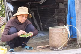Tây Nguyên: Nơi ớt không chỉ là gia vị