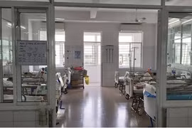 Đã xác định nguyên nhân khiến hơn 200 người ngộ độc ở Đà Nẵng