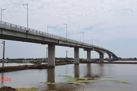 Nam Định: Thông xe cầu Thịnh Long, phá thế độc đạo qua sông Ninh Cơ