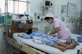 Bị nhiễm virus Zika, phác đồ điều trị thế nào?