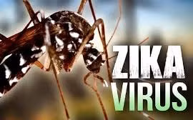 Phân biệt bệnh do virus Zika và sốt xuất huyết thế nào