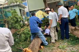 Công an điều tra vụ cây bật gốc đè học sinh tử vong tại Trường THCS Bạch Đằng