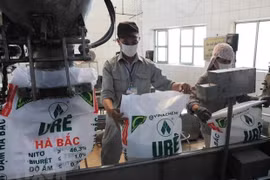 Điều tra dấu hiệu hình sự trong đấu thầu Dự án đầu tư mở rộng Nhà máy phân đạm Hà Bắc