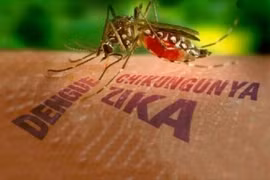 Phát hiện trường hợp mắc virus Zika gây bệnh đầu nhỏ trên trẻ sơ sinh