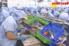 Hiến kế cải cách giúp doanh nghiệp khôi phục sản xuất, kinh doanh