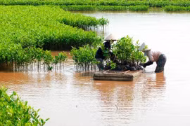 Thủ tướng phê duyệt nhiệm vụ lập quy hoạch bảo vệ môi trường