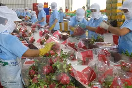 Xuất khẩu rau quả giảm 12,3% so với cùng kỳ năm 2019
