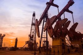 Giá xăng dầu hôm nay 14/6: Tăng mạnh trước thông tin OPEC+ cắt giảm nguồn cung