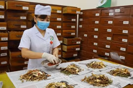 Bao bì thuốc cổ truyền phải được kiểm nghiệm, đạt tiêu chuẩn