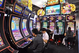 Nhà lập pháp Nhật Bản nhận hối lộ từ nhà điều hành sòng bạc Trung Quốc