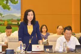 Giảm thuế bảo vệ môi trường đối với nhiên liệu bay 900 đồng/lít