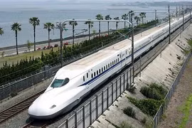 Khẩn trương thẩm định Báo cáo nghiên cứu tiền khả thi Dự án đường sắt tốc độ cao Bắc - Nam