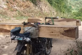 Gia Lai: Người đàn ông bị gỗ đè chết khi vận chuyển gỗ lậu