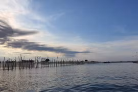 Trải nghiệm đầm chuồn, Phá Tam Giang