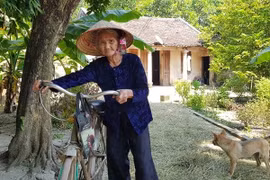 Thanh Hóa: Khen tặng nhiều cá nhân và tập thể có thành tích xuất sắc trong các phong trào thi đua yêu nước