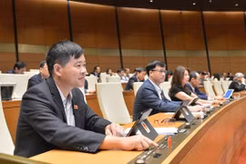 TP.HCM: UBND cấp quận có không quá ba Phó Chủ tịch