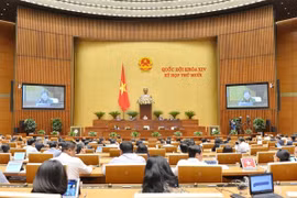 Quốc hội biểu quyết về tổ chức chính quyền đô thị tại TP Hồ Chí Minh