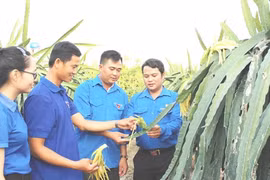 Cần tháo gỡ khó khăn về vốn cho thanh niên khởi nghiệp